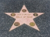 LA Walk of Fame 2014