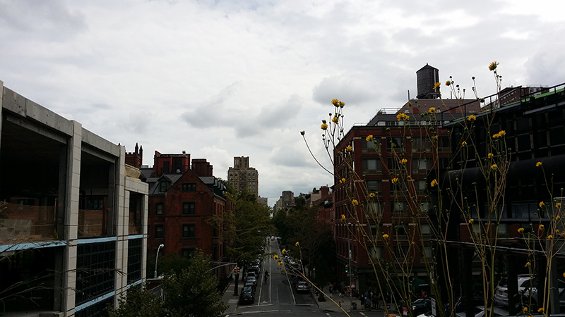 nyc2014080f